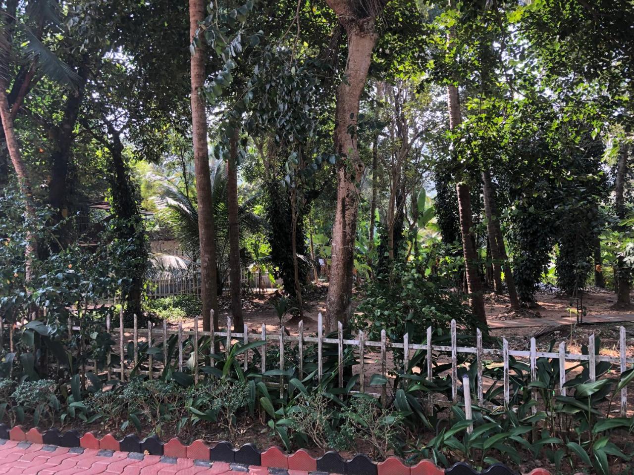 Ayuryogashram Heritage Thrissur Eksteriør bilde
